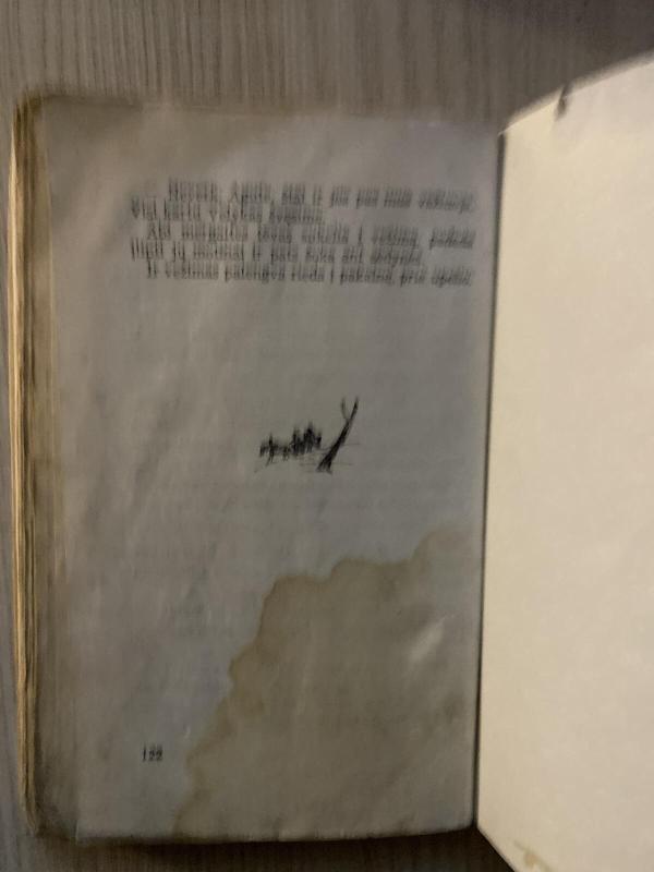 Vidurnakčio svečiai - Stasius Būdavas, knyga 2