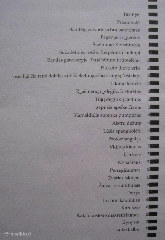 Protoevangelija - Daiva Povilaitienė, knyga