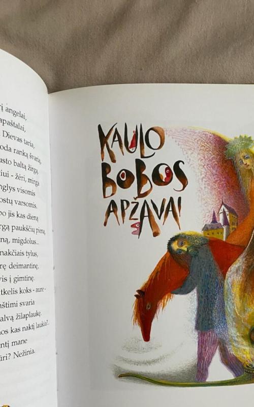 Kaulo bobos apžavai - Martynas Vainilaitis, knyga 4