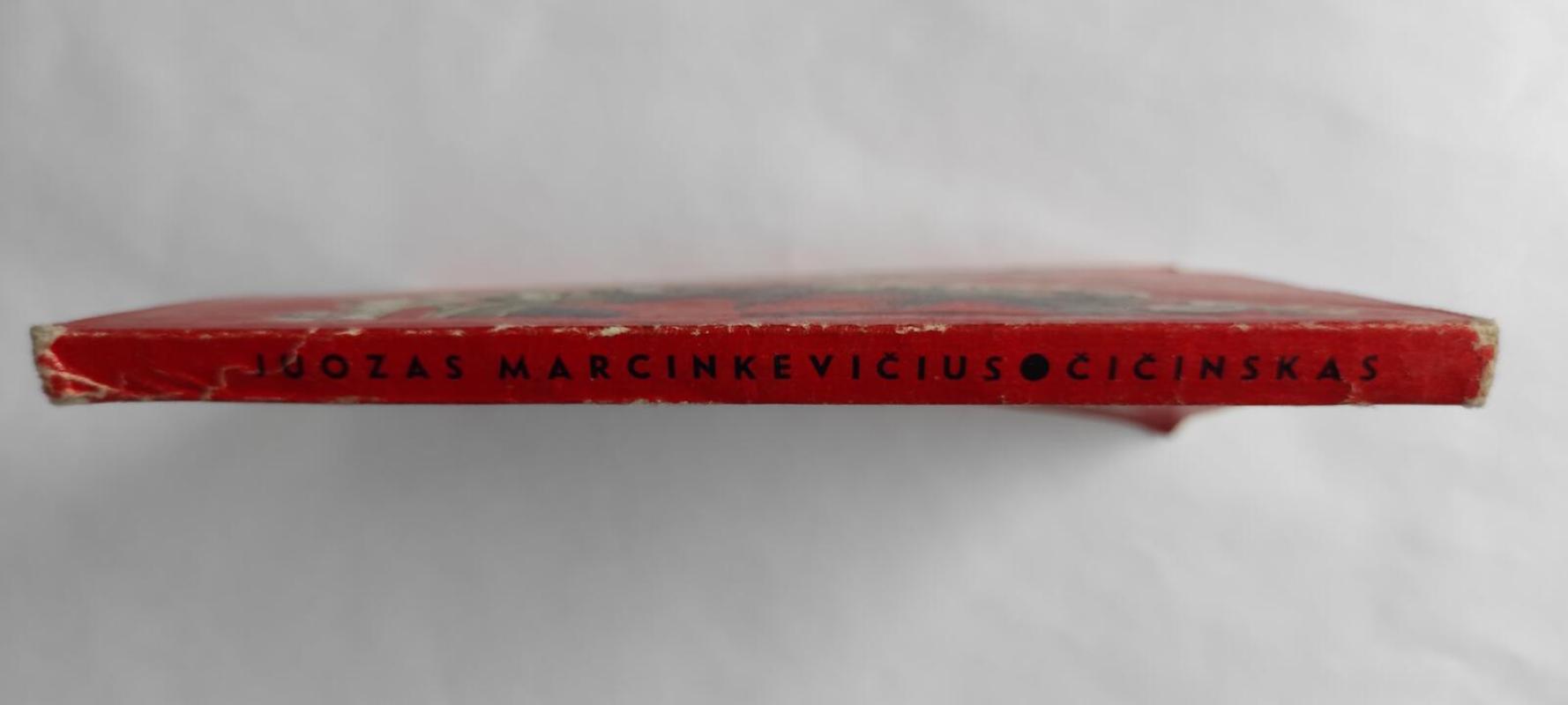 Čičinskas - Juozas Marcinkevičius, knyga 3