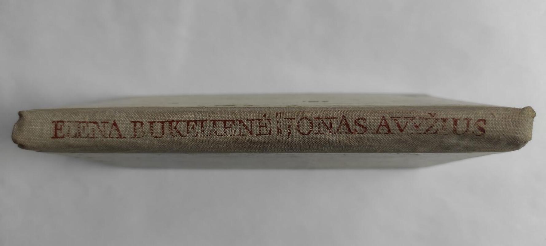 Jonas Avyžius - Elena Bukelienė, knyga 3