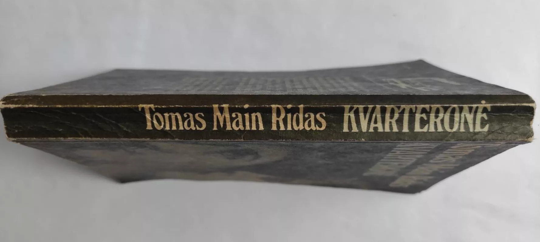 Kvarteronė - Tomas Main Ridas, knyga 4