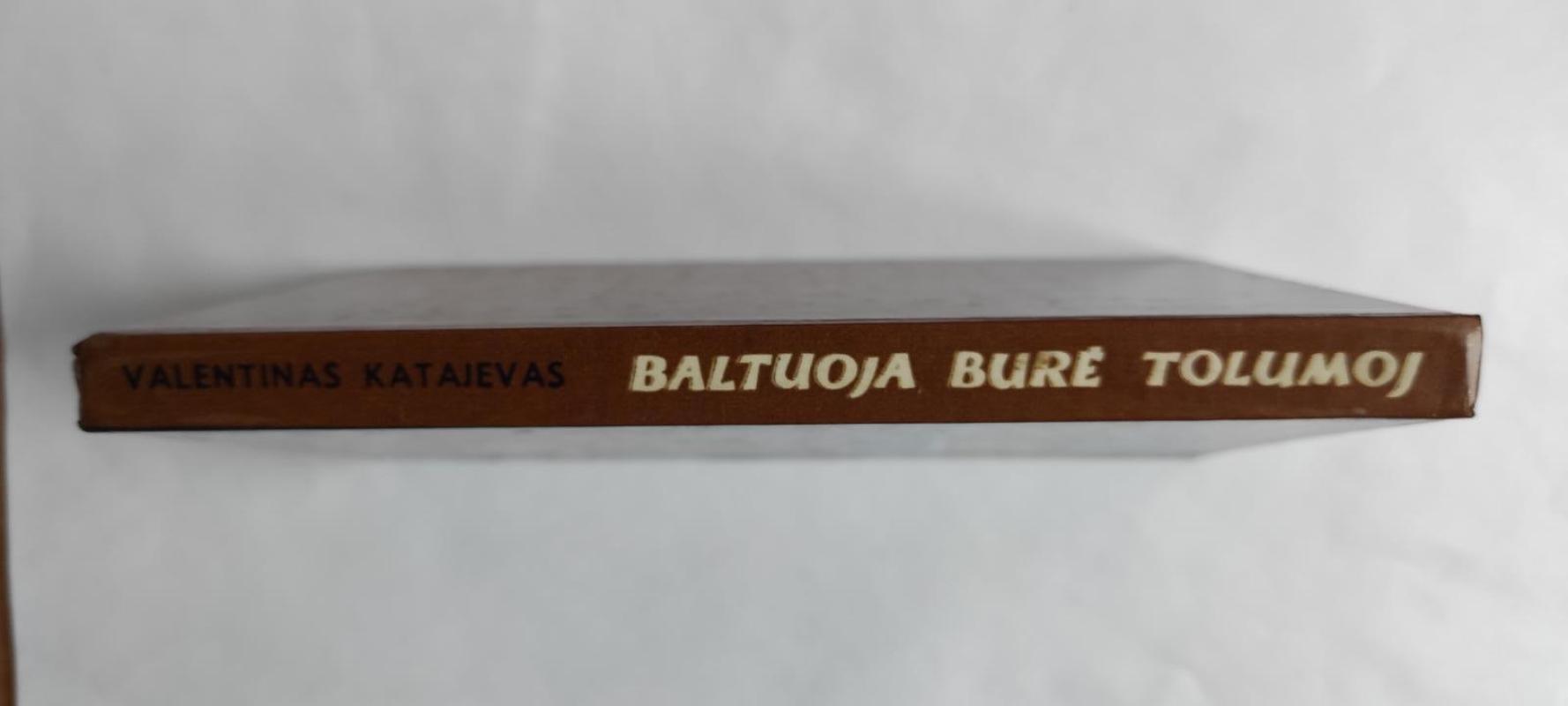 Baltuoja burė tolumoj - Valentinas Katajevas, knyga 3