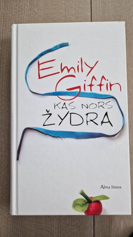 Kas nors žydra - Emily Griffin, knyga