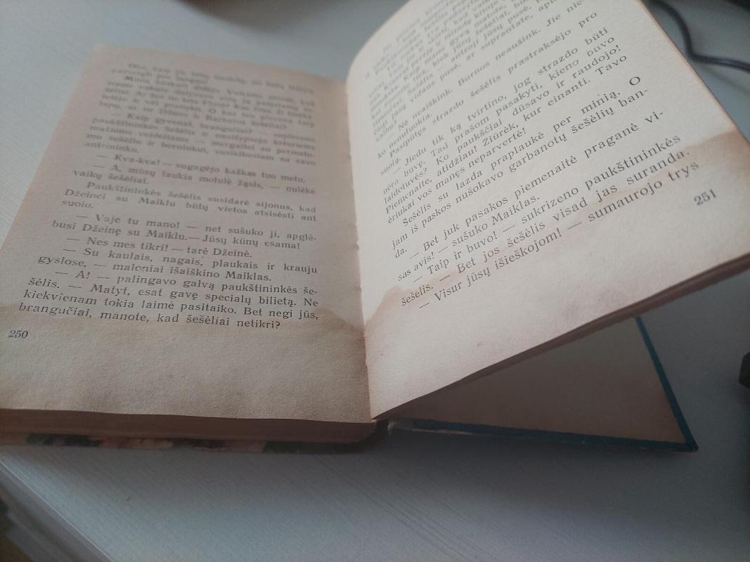 Merė Popins parke - Pamela Travers, knyga 3