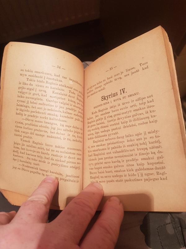 Raginis ir kitos gražios pasakos - Autorių Kolektyvas, knyga 5