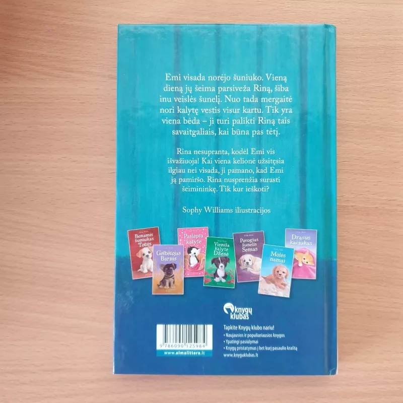 Pamiršta kalytė Rina - Holly Webb, knyga 3