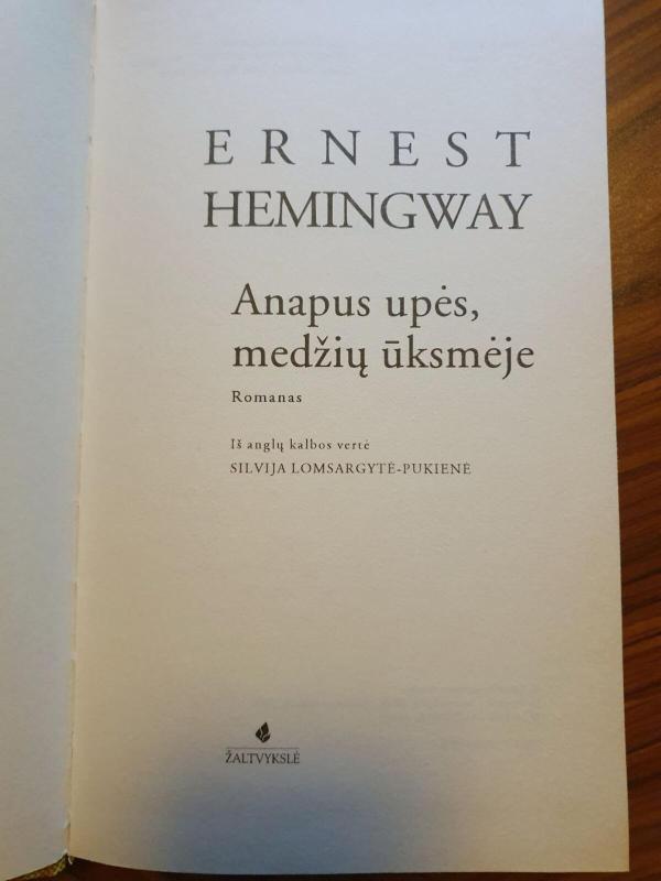 Anapus upės, medžių ūksmėje - Ernest Hemingway, knyga 2
