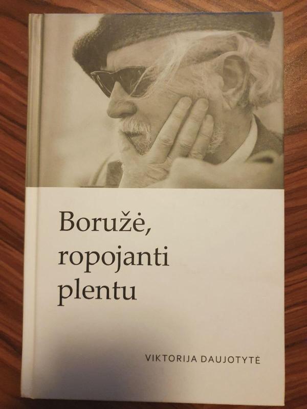 Boružė, ropojanti plentu - Viktorija Daujotytė, knyga 3
