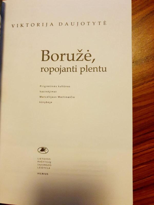 Boružė, ropojanti plentu - Viktorija Daujotytė, knyga 2