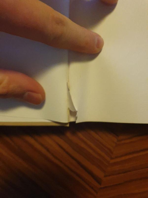 Laiko triukšmas - Julian Barnes, knyga 2