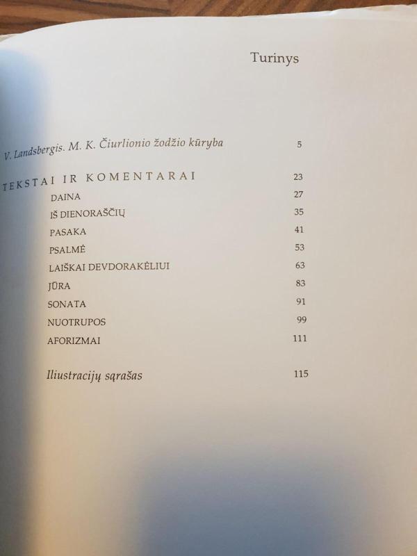 Žodžio kūryba - Autorių Kolektyvas, knyga 2