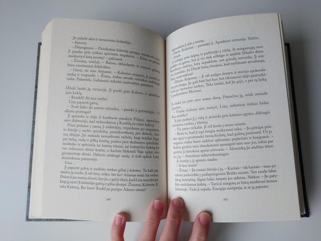 Ties tamsos riba - Barbara Erskine, knyga 3