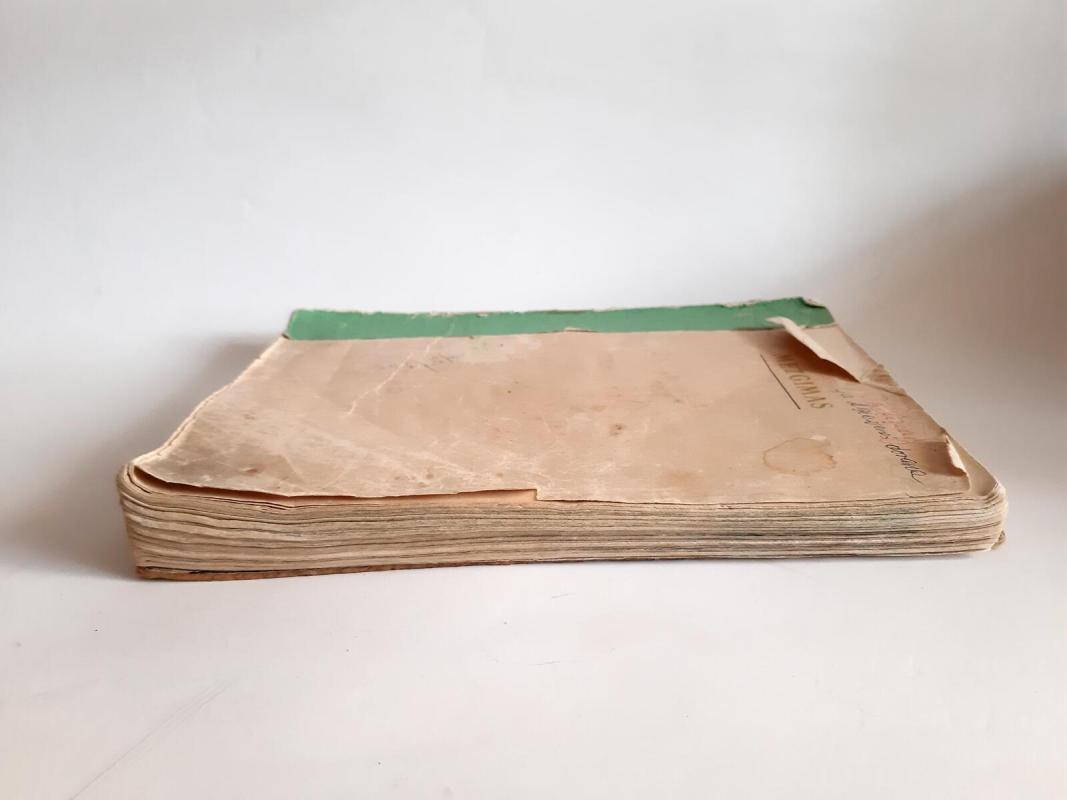 Mezgimas - K. Žirgulienė, knyga 4