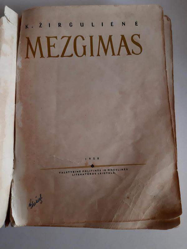Mezgimas - K. Žirgulienė, knyga 2