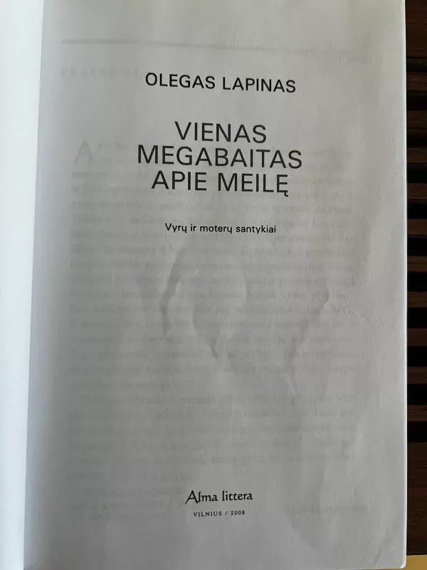 Vienas Megabaitas Apie Meilę - Olegas Lapinas, knyga 3