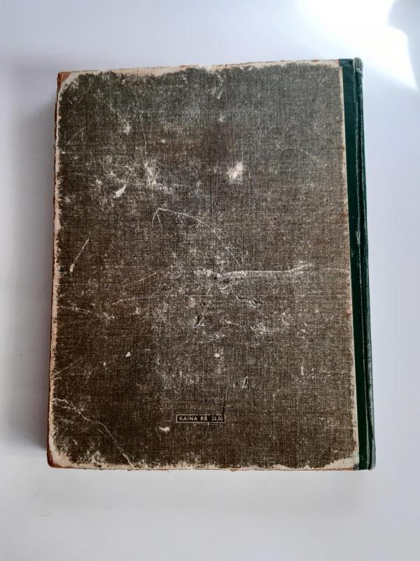 Rankdarbiai - O. Klikūnaitė, knyga 3