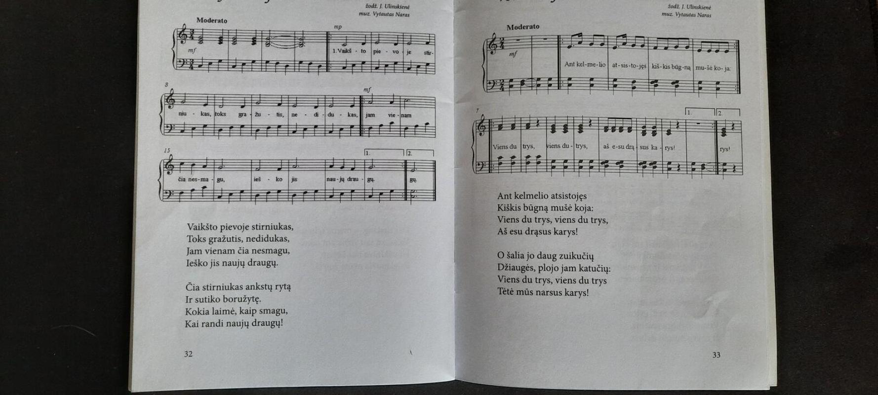 Bitutės sapnas - Janina Ulinskienė, knyga 3