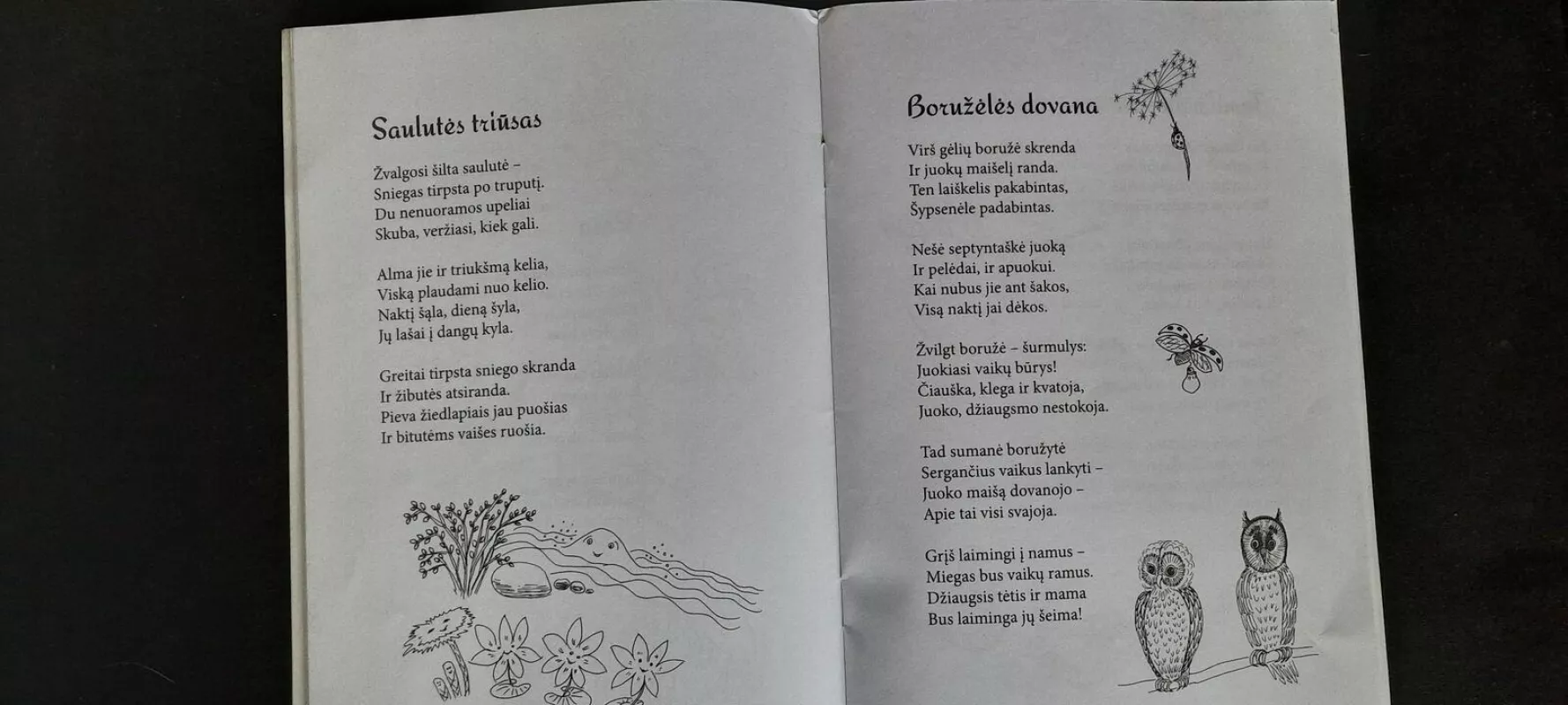 Bitutės sapnas - Janina Ulinskienė, knyga 2