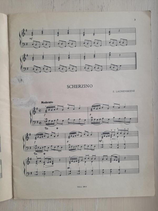 Albumas jaunimui. Fortepijonas - V. PALTANAVIČIUS, knyga 3