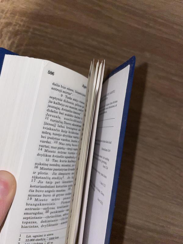 Naujasis testamentas - Autorių Kolektyvas, knyga 4