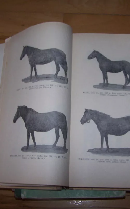 Žemaičių Arklių kilmės knyga 1 dalis - Autorių Kolektyvas, knyga 2