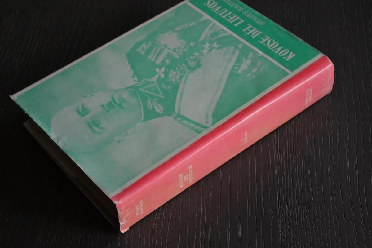 Kovose dėl Lietuvos (I tomas) - Stasys Raštikis, knyga 2