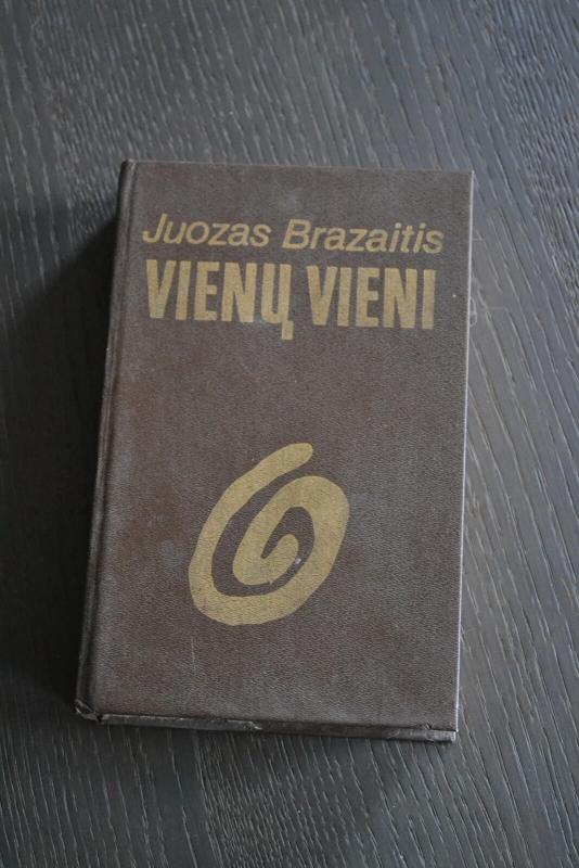 Vienų vieni - Juozas Brazaitis, knyga 4