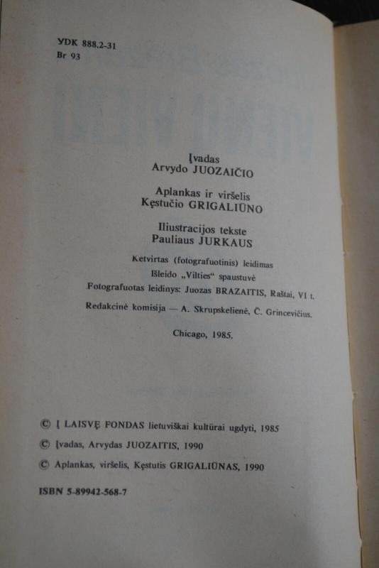 Vienų vieni - Juozas Brazaitis, knyga 2