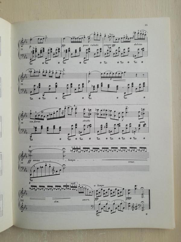 Šopenas. VII dalis. Visi noktiurnai - Ignacy J. Paderewski, knyga 2