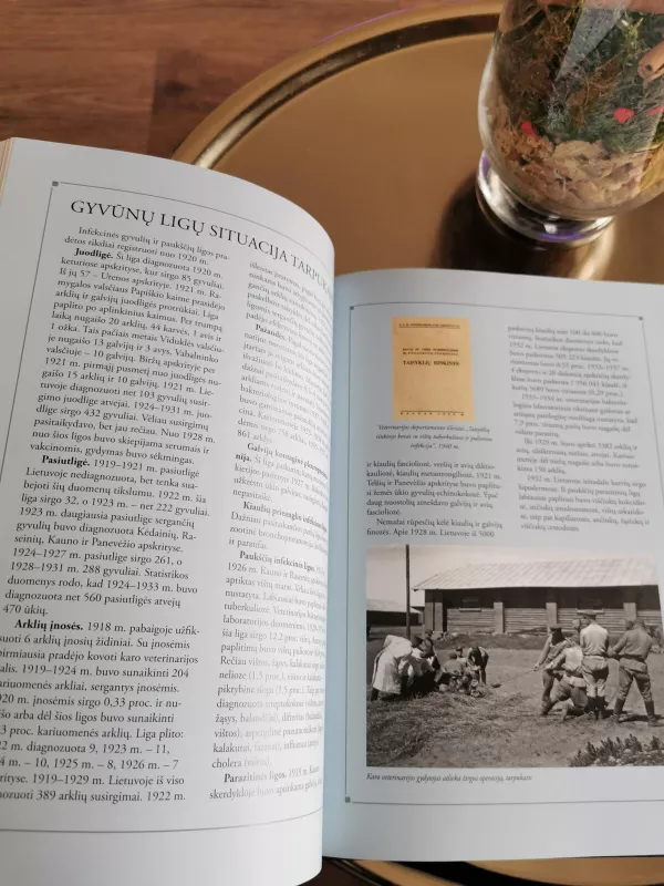 Veterinarija Lietuvoje šimto metų istorija 1918-2018 - Autorių Kolektyvas, knyga 3