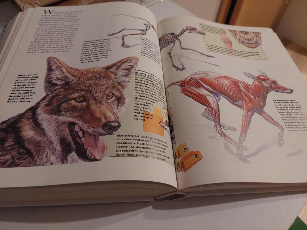 Faszination Tier - Autorių Kolektyvas, knyga 3