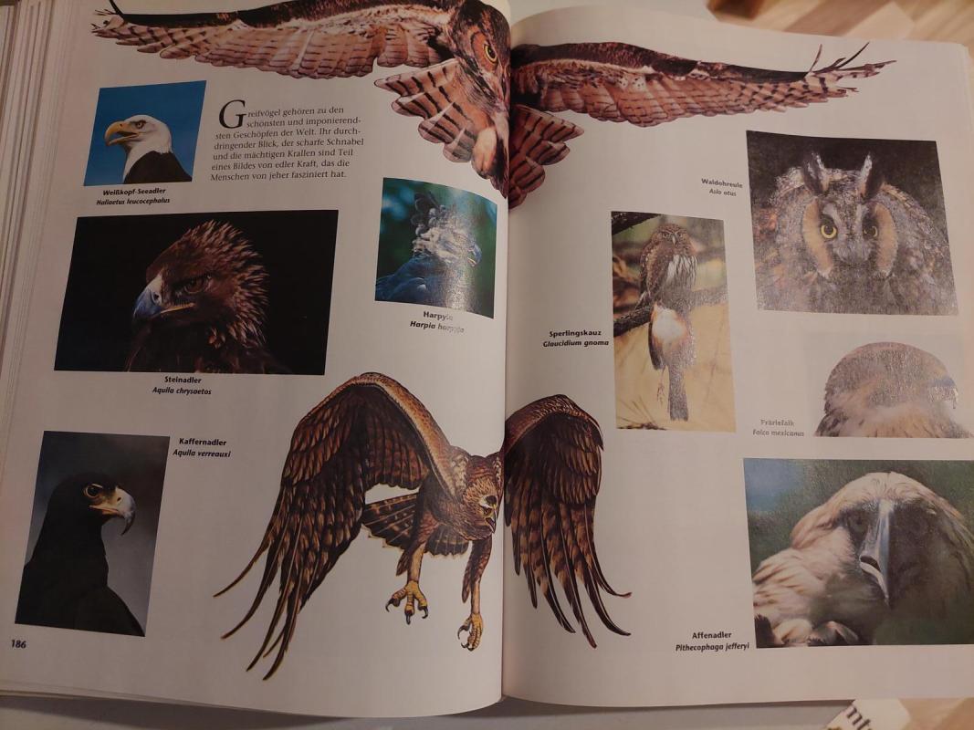 Faszination Tier - Autorių Kolektyvas, knyga 5