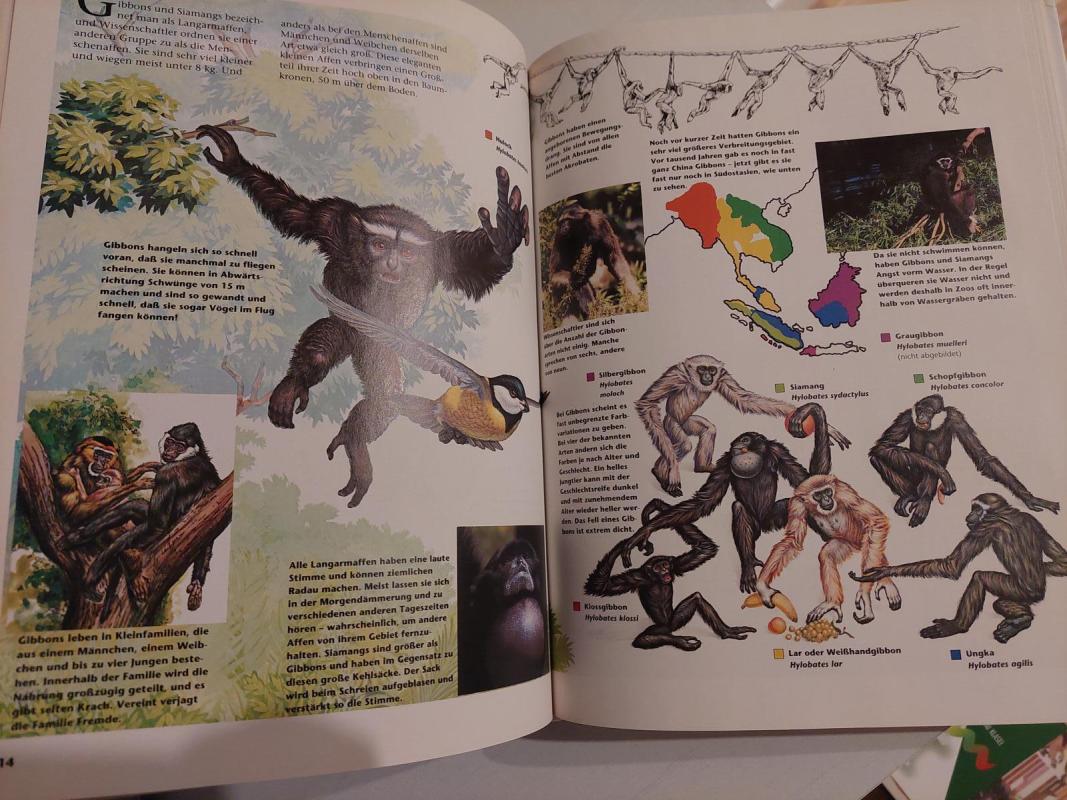 Faszination Tier - Autorių Kolektyvas, knyga 4