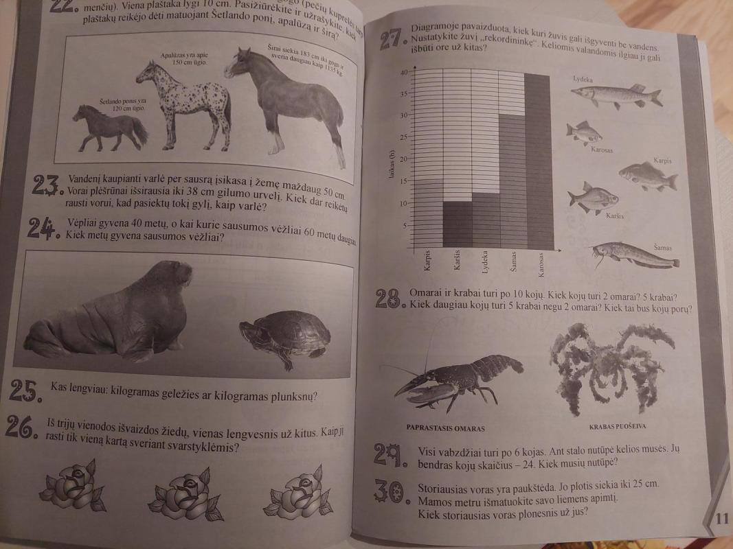 Matematika gamtoje II klasė - Arkadijus Kiseliovas, Danutė  Kiseliova, knyga 5