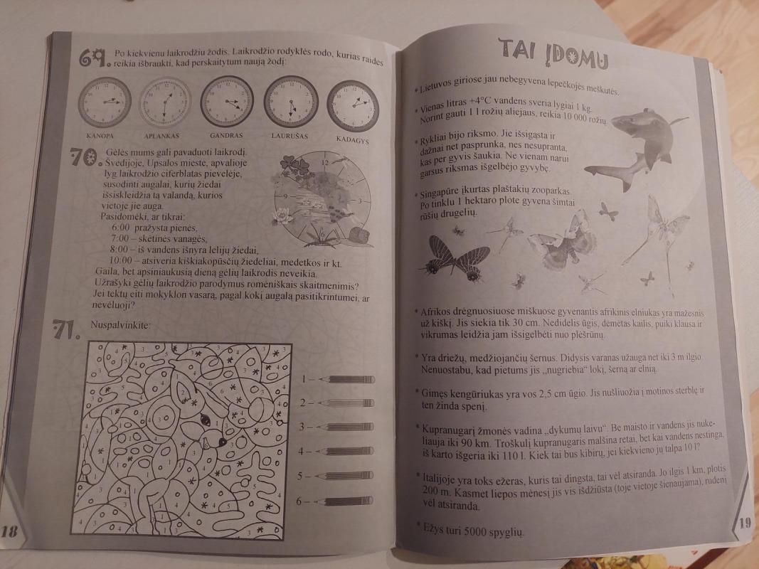 Matematika gamtoje II klasė - Arkadijus Kiseliovas, Danutė  Kiseliova, knyga 4