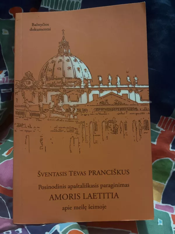 Posinodinis apaštališkasis paraginimas AMORIS LAETITIA apie meilę šeimoje - Pranciškus Popiežius, knyga 4