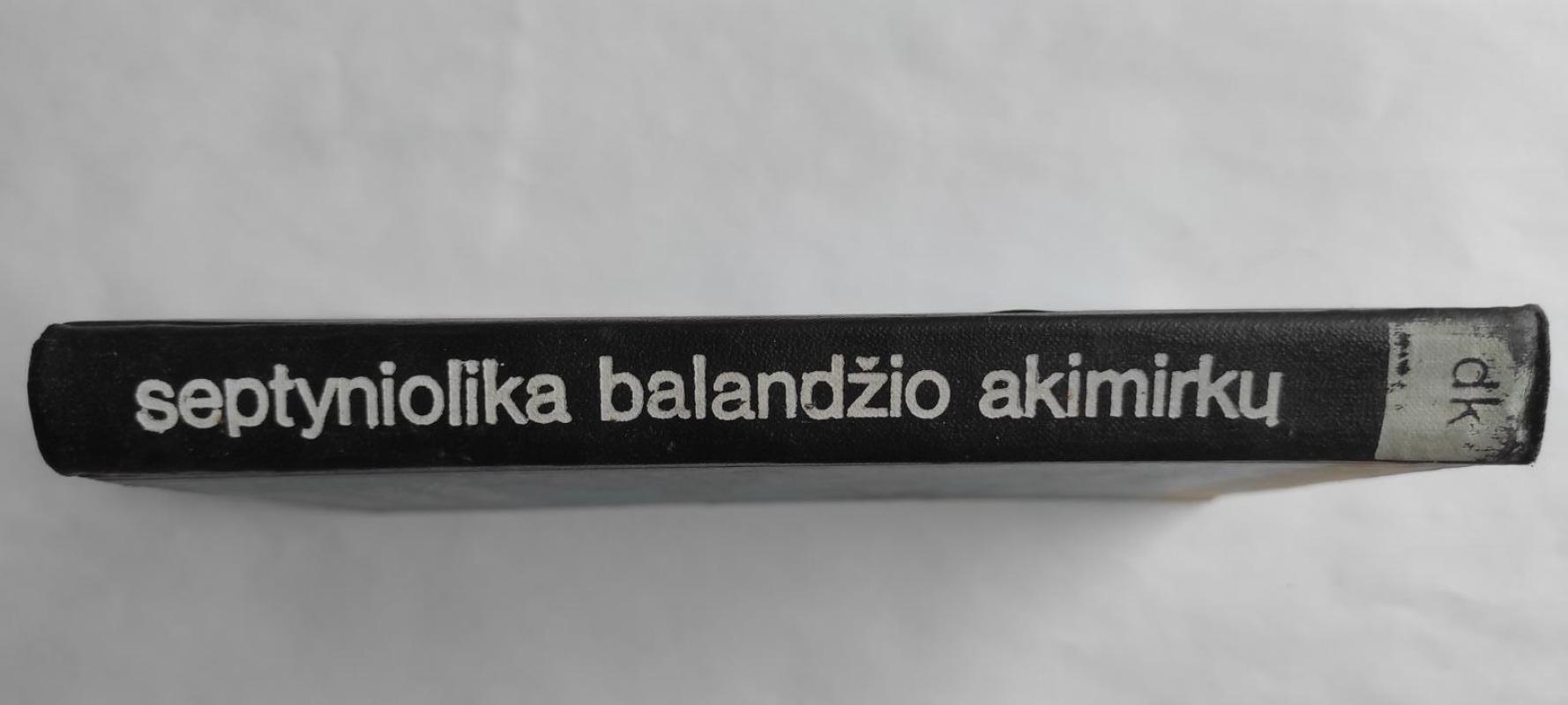 Septyniolika balandžio akimirkų - J. Semionovas, knyga 3