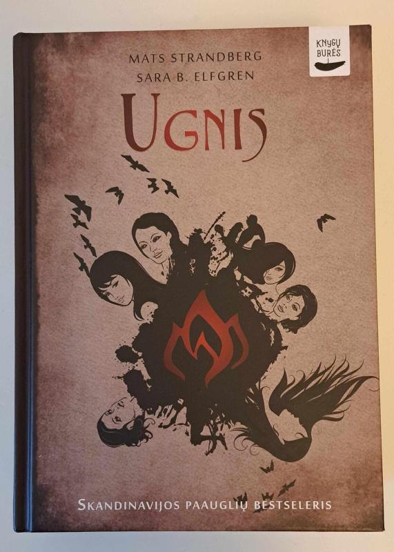 Ugnis - Mats Strandberg, knyga 2