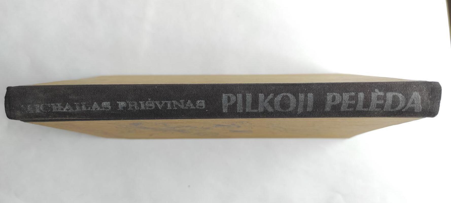 Pilkoji pelėda - Michailas Prišvinas, knyga 3