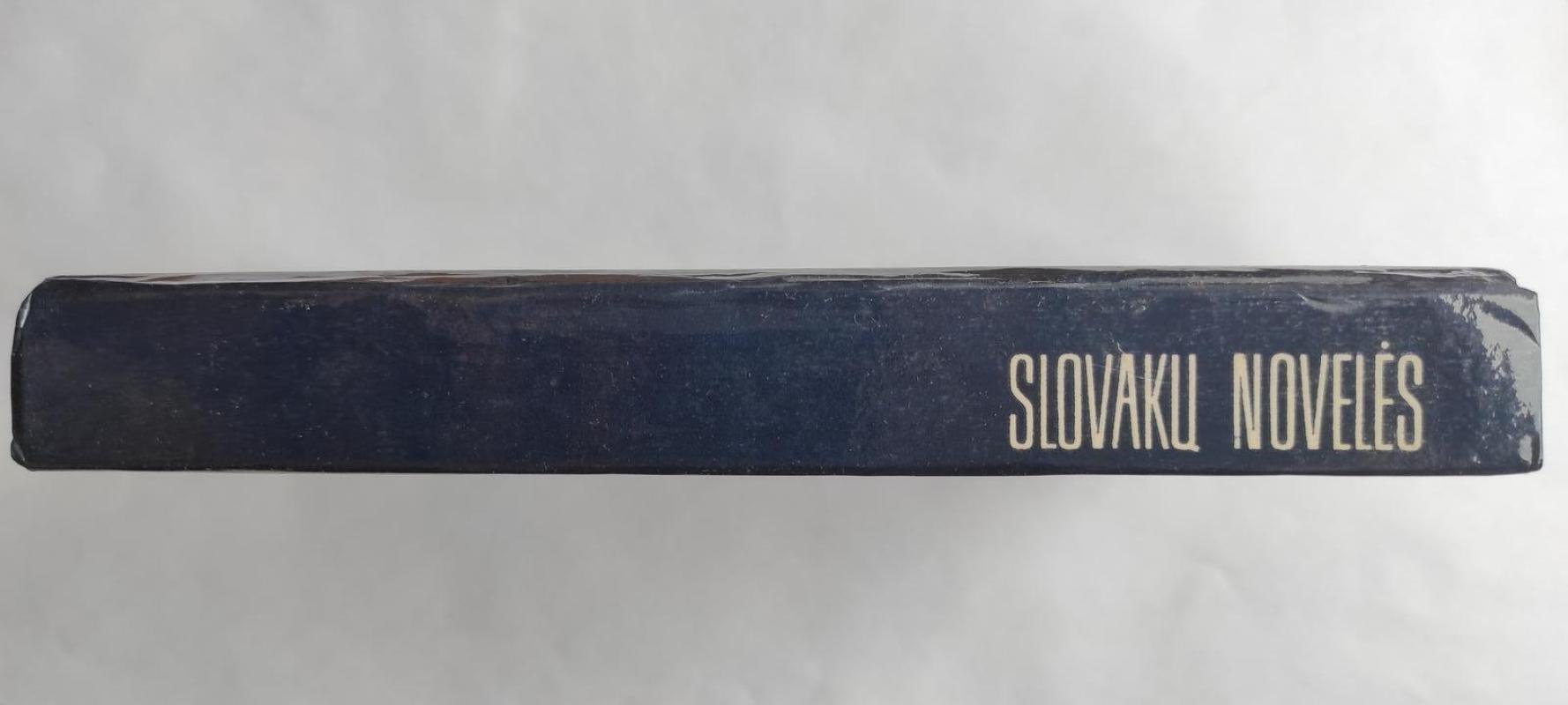 Slovakų novelės - Autorių Kolektyvas, knyga 3