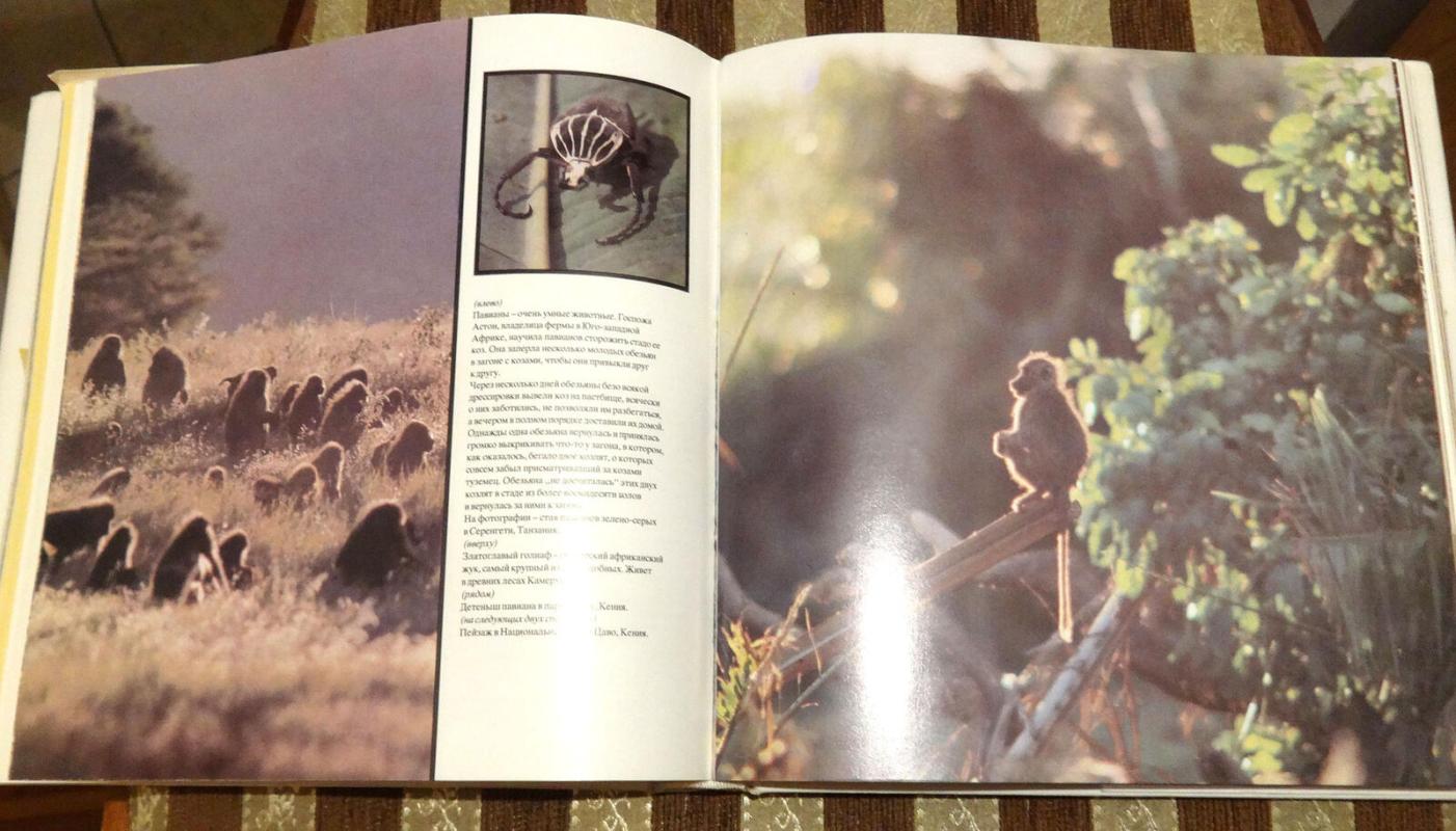 Царь зверей не лев - И. Вагнер, knyga 3