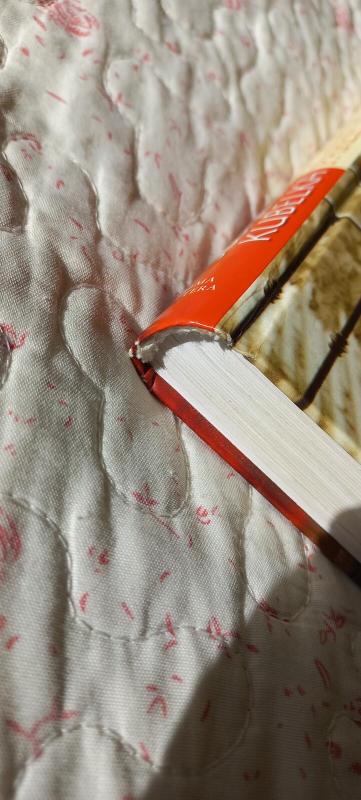 Šiandien madam pareis vėliau - Susanna Kubelka, knyga