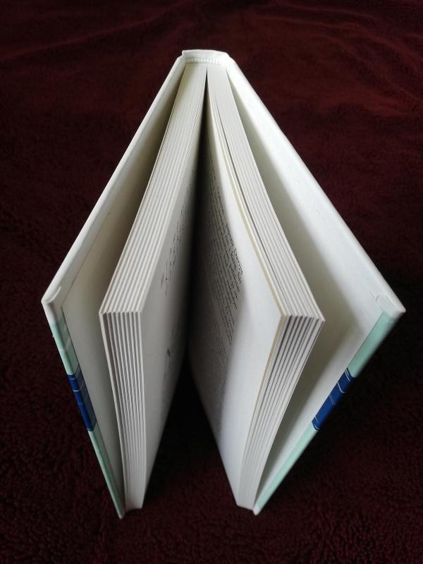 Kelionės su Herodotu - Ryszard Kapuscinski, knyga 3