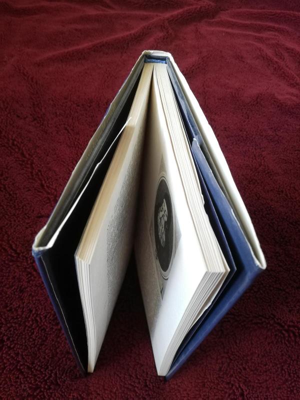 Portretas XVI-XVIII a. Lietuvoje - Marija Matušakaitė, knyga 3