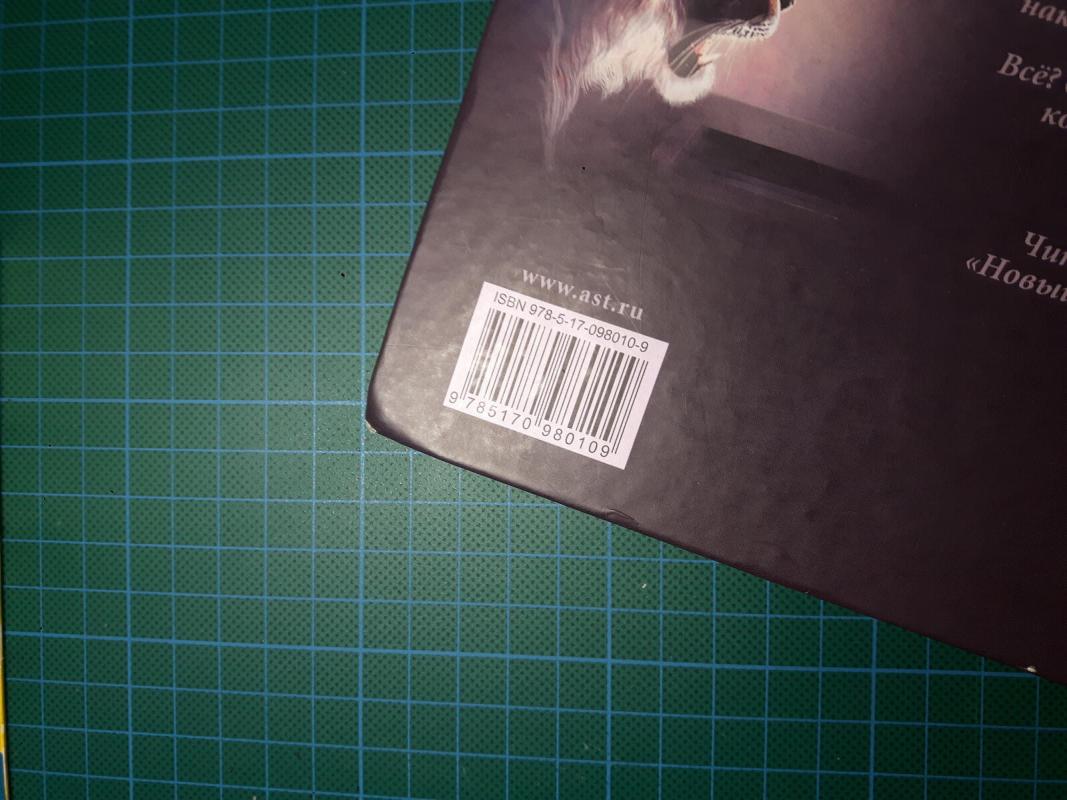 Новый Дозор - Sergej Lukjanenko, knyga 5