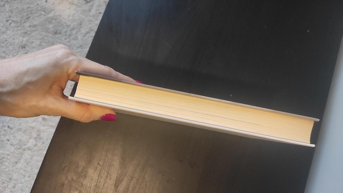 Dykumų gėlė - Waris Dirie, knyga 2