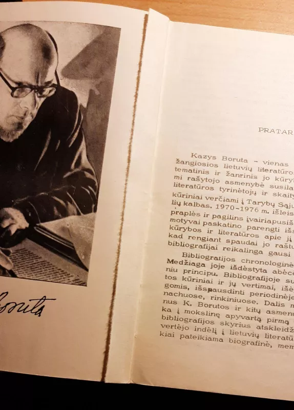 Kazys Boruta Bibliografija 1920-1976 - Valerija Vilnonytė, knyga