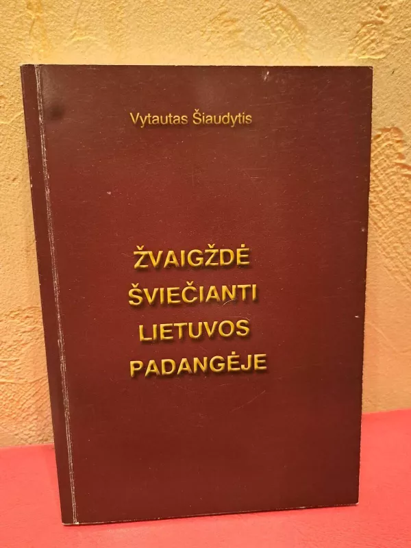 Žvaigždė šviečianti Lietuvos padangėje - Vytautas Šiaudytis, knyga