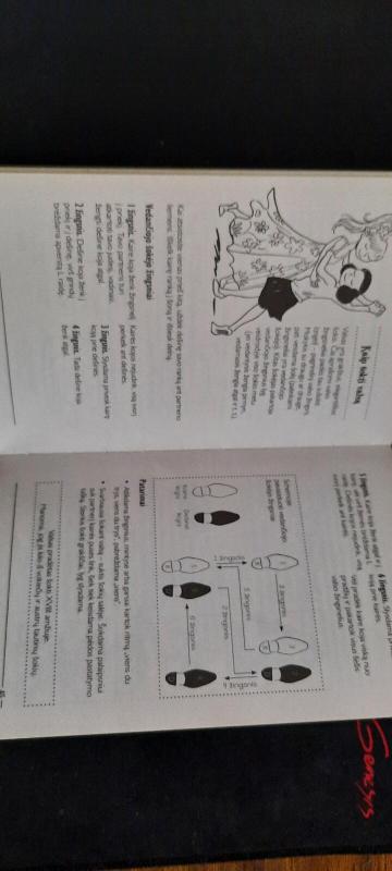 Mergaitės žinynas - Lottie Stride, knyga 3